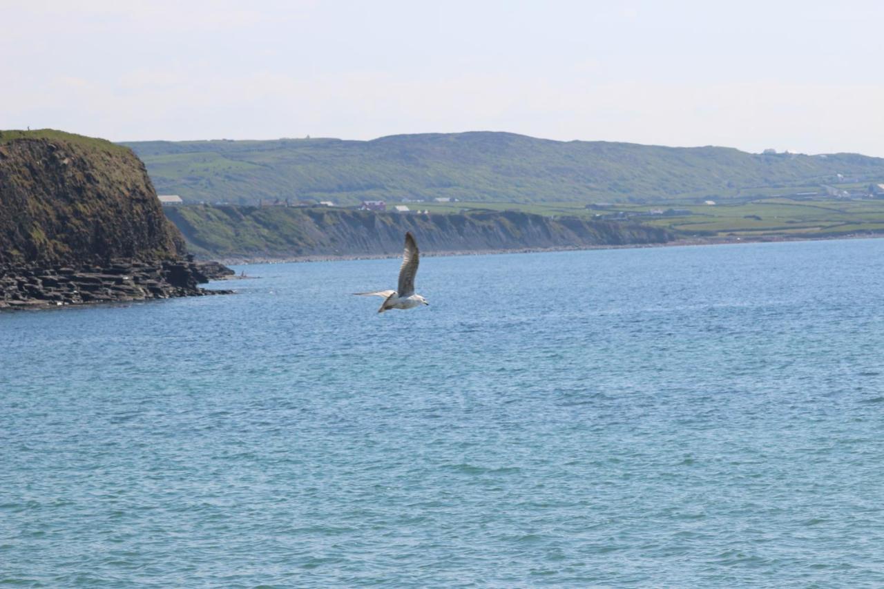 Bed & Breakfast Slaney House